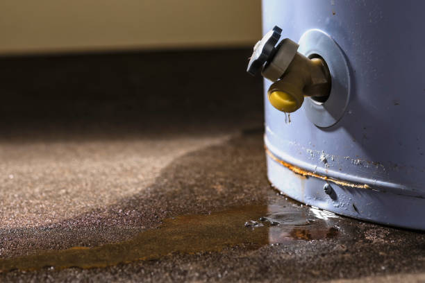 Best Flooded house restoration  in Tyler, MN