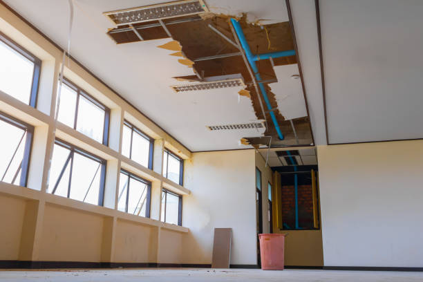 Best Water damage restoration insurance claims  in Tyler, MN