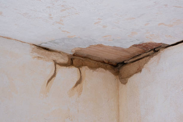 Best Water damage restoration services  in Tyler, MN