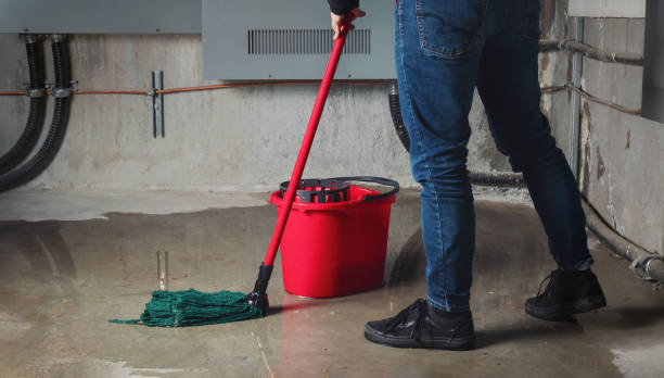 Best Water damage contractors near me  in Tyler, MN