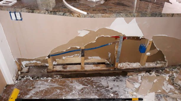 Water damage restoration mold remediation in MN