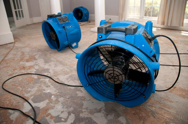 , MN Water damage restoration Company