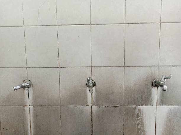 Best Ceiling water damage repair  in Tyler, MN